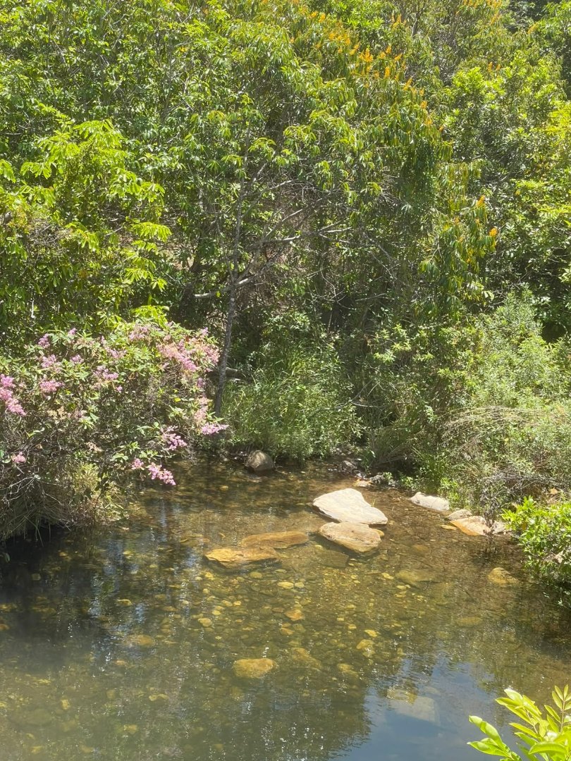 CHÁCARA PRÓXIMA TERESINA GOIÁS/CAVALCANTE - COM RIO E NASCENTE